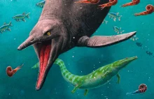 Odnaleziono skamieniałość najstarszego ichtiozaura w historii. Odkrycie burzy do