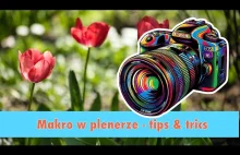 Makro w plenerze - Tips and trics