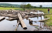 Renaturyzacja rzek w Anglii
