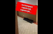 Na kompani capstrzyk, capstrzyk... Wojsko Polskie