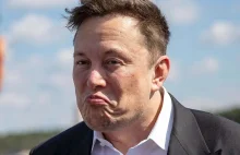 Czy TruthGPT od Elona Muska jest nam potrzebne? O.o