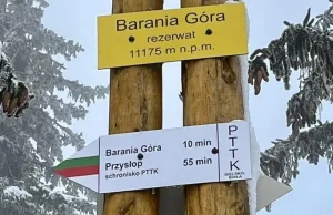 Barania Góra najwyższym szczytem świata. Tak przynajmniej twierdzi PTTK