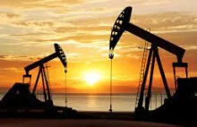 Zestawienie spółek Oil & Gas - warto krzyczeć, że państwowy* Orlen to KOMUNIS?