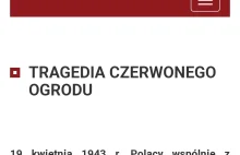 Ukraiński instytut pamięci narodowej o Wołyniu.