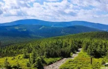 Czarna Góra w Sudetach widokowy szczyt i kurort narciarski w Masywie Śnieżnika