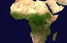 Szokujący atak na burmistrza sprzed kilku dni sprawczynią adoptowana córka