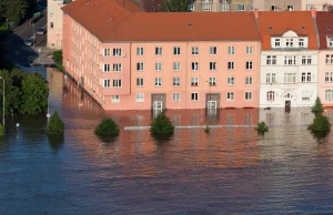 Rząd 7 internauci 400. Ile osób zginęło w powodzi?