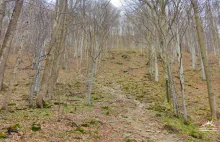 Lackowa: Beskid Niski. Szlaki na Lackową z Izb i Mrokowca