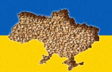 Ukraina: Handlujący zbożem wyprowadzają poza kraj miliardy dolarów