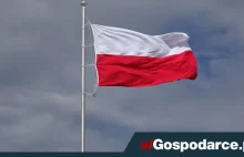 Polska bije rekordy. Ponad 51,8 mld euro sprzedanej żywności