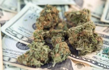 Sprzedaż marihuany w Illinois osiągnęła rekordowe 1,55 miliarda dolarów w 2022