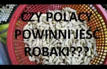 Czy my Polacy powinniśmy jeść robaki?