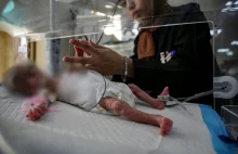 Kilogram pomidorów kosztuje 100 zł. Gaza na skraju humanitarnej przepaści