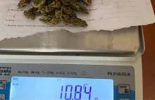 Marihuana na własny użytek: Policja znalazła zioło w komodzie
