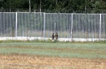 Już nie do Polski? Łukaszenka przerzuca migrantów