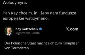 Kay Gottschalk, poseł AfD, chce sankcji na Polskę za niewydanie Wołodymyra