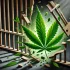 Gubernator stanu Maryland ułaskawił ponad 175 000 osób skazanych za marihuanę