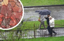 Zobaczyli, co Arab zrobił w Zakopanem. Wściekli górale mu nie odpuścili