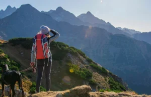 Koniec wędrówek z psem. Słowackie Tatry nie będą już dostępne dla czworonogów