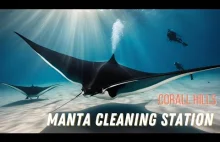 Taniec mant w podwodnym spa Malediwy jak z bajki!