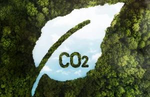 Coraz więcej badań dowodzi, że politycy się mylą: CO2 jest tak nieistotny