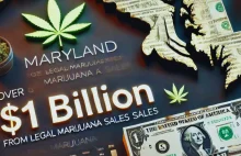 Stan Maryland w USA zarobił na legalnej marihuanie ponad miliard $ w ciągu roku