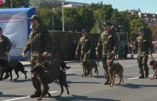 Rewolucja w polskiej armii. Psy służbowe mogą otrzymać stopnie wojskowe