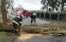 Alert RCB wysłany po wypadkach. Centrum tłumaczy