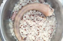 Udostępniam post z FB własciciela strzelnicy wielbiciela psów.