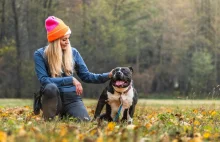 Stowarzyszenie Amstaffy Niczyje z Łodzi zwalcza stereotypy.