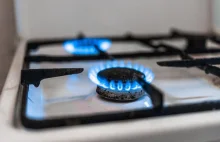Gotowanie na kuchenkach gazowych szkodzi zdrowiu? Badania gdańskich naukowców