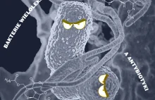 Wpływ antybiotykoterapii na rozwój bakterii wielolekoopornych