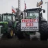 Cała Polska stanie! Jutro olbrzymie protesty rolników! AKTUALNA MAPA STRAJKÓW