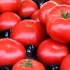 "Załamanie na rynku pomidorów". Można je kupić już za 4 zł za kilogram