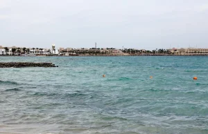 Egipt, Hurghada. Rosjanin zginął w ataku rekina w Egipcie, jego dziewczynie udał