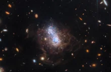 Galaktyka I Zwicky 18 w podczerwonym kadrze JWST