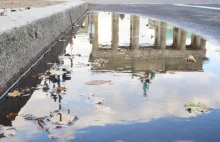 Niemcy wypadły z pierwszej dziesiątki najbardziej innowacyjnych państw świata