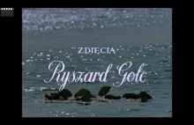 Sam wśród ptaków-1971- Film dokumentalny