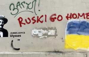 Gruzja podzielona. "Ruski go home" czy "Rosjo, przygarnij nas"