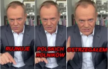 Tusk o zbożu z Ukrainy: Najgorszy syf wjeżdża do naszego kraju...