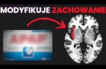 Ten lek zmienia twoje decyzje