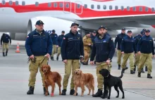 Z Turcji wrócili polscy strażacy. Uratowali życie 12 osób