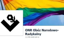 Homofobia pozytywnie skorelowana z homosekusalnym podnieceniem