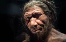 Warsztat neandertalczyka. Co nam mówią narzędzia sprzed tysięcy lat?