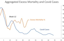 The Devil's Advocate: An Exploratory Analysis of 2022 Excess Mortality