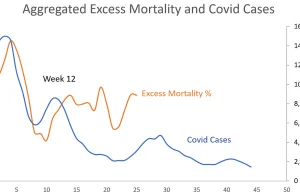 The Devil's Advocate: An Exploratory Analysis of 2022 Excess Mortality