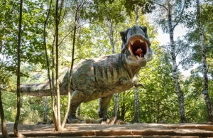 Po co T-rexowi tak groteskowe krótkie łapy?