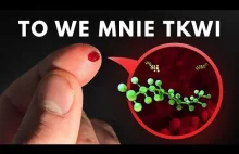 Jak Jedna Firma Potajemnie Zatruła Planetę