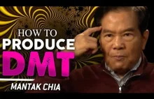 HOW TO PRODUCE NATURAL DMT - Mantak Chia | London Real