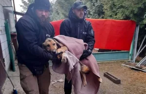 Zwyrodnialec - strażak ochotnik z gminy Skała głodził psa